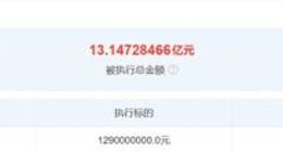 乐视网被恢复执行12.9亿元 被执行总金额约13.15亿元