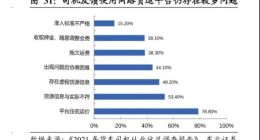 快狗打车上市 第二名的挣扎求生