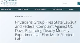 马斯克Neuralink脑机接口公司被控虐猴