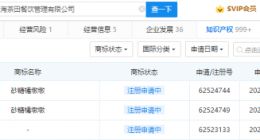 乐乐茶申请“砂糖橘墩墩”商标