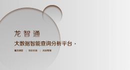 合合信息牵手中国500强龙光集团 助力后者风控数字化转型
