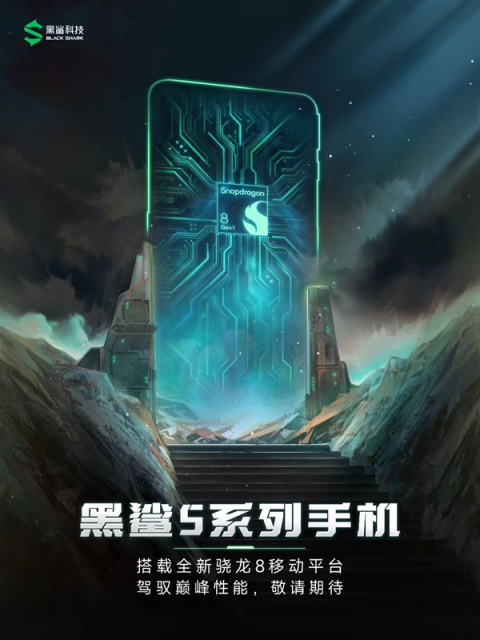 图片11