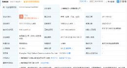 王思聪投资沉浸式真人互动游戏剧制作商umeplay