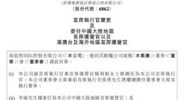 张勇卸任海底捞CEO 副CEO兼COO杨利娟接任