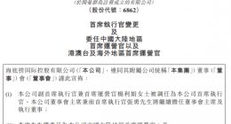 海底捞“最牛服务员”杨利娟出任CEO 其共关联15家企业