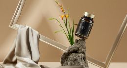 Regenerative Bio获得千万级美元天使轮融资