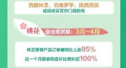 春游不止固定动作 携程报告：露营产品预订量增长120%