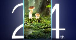 “真空+智能” 海信真空休眠二代即将来袭！