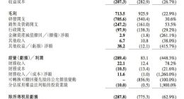 祖龙娱乐2021年亏损3.03亿元 同比收窄60%