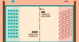 锂价大涨16个月，整个电动车产业经历了什么