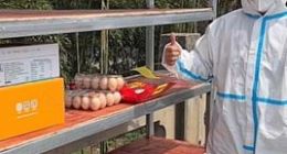 本来生活：5天时间已救助独居老人等弱势群体200余户