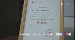央视《经济半小时》报道 百度飞桨助力中小企业创新“添智聚力”