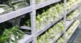 分拣人员增加70% 美团买菜北京地区延长配送到24点
