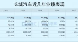 复盘长城汽车“妖股”之路：谁的盛宴，谁的眼泪？