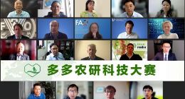 产量翻倍品质 超传统种植 第二届“多多农研科技大赛”决赛结果出炉