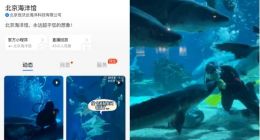 北京海洋馆支付宝生活号再上新，各种鱼类“日记”受欢迎