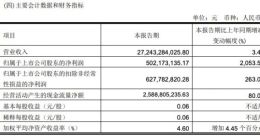 永辉发布2022年一季度财报：营收达272.43亿元 扣非后归母净利润达6.28亿