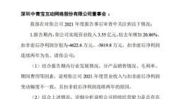 中青宝再遭深交所问询：要求说明元宇宙游戏《酿酒大师》运营模式等问题