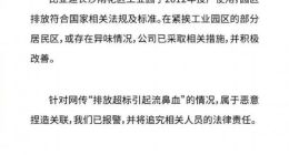 比亚迪大跃进 “急刹车”