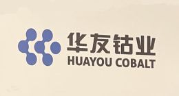华友钴业控股子公司将入股LG化学龟尾正极材料子公司 持股49%