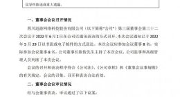 迅游科技董事会罢免袁旭总裁职务
