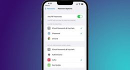 苹果 iOS 16 支持使用第三方具有内置密码 App 的双重身份验证，包括默认微软谷歌验证器