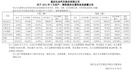 长安汽车：前5月新能源销量66690辆 同比增加140.92%