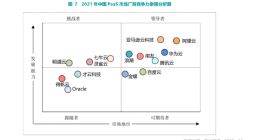 赛迪顾问2021年中国PaaS市场：亚马逊云科技入围领导者地位