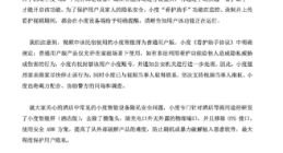 小度回应“女子称民宿内智能音箱偷拍房客隐私”：支持当事人维权 协助警方调查