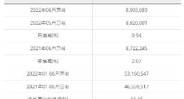 华邦电子2022年6月营收为新台币89.03亿元 较去年同期增加2.07%