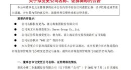 小康股份：拟更名为赛力斯 持续加大新能源战略投入