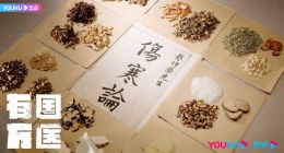 优酷推出首档中医抗疫网络纪录片《国医有方》