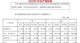 赛力斯7月新能源车销量13291辆 同比增长316.78%