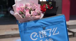 饿了么七夕鲜花预定增3倍 线上订单助推花店生意加速回暖