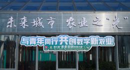 拼多多将第三届“多多农研科技大赛”搬进集装箱 广邀全球科技农人比拼种植“水果生菜”