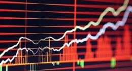 网友晒炒股收益1年亏1040万 亏损比例96%