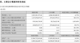 完美世界上半年营收39亿元 归母净利润11.37亿元