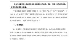 宁德时代拟在匈牙利投建新能源电池产业基地 总投资不超73.4亿欧元