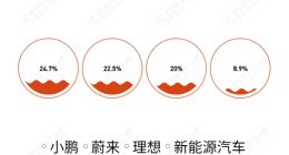 小鹏降价：一场饮鸩止渴的独角戏