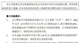 ST曙光：新能源乘用车进展和量产具有不确定性