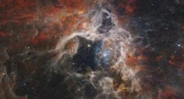 韦伯太空望远镜拍下蜘蛛星云新图像 还捕捉到爱因斯坦环图像