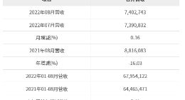 华邦电子2022年8月营收为新台币74.03亿元 较去年同期减少16.03%