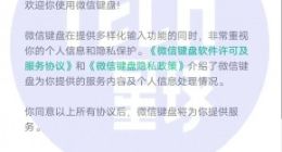 微信输入安得双全法？