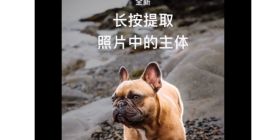 苹果官方小技巧：iOS 16 一键抠图这样实现