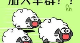羊了个羊，赚了个赚