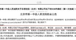 乐视908件商标起拍价84万 大楼、服务器已被拍卖