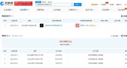 上海寺库涉合同纠纷被限制消费