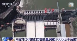 装机规模中国第五、世界第十一，向家坝水电站发电总量超 3000 亿千瓦时