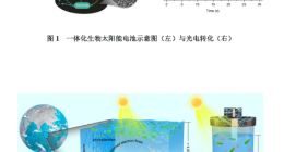我国科学家创建出仿生海洋电池