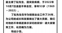 华为监事会副主席丁耘因突发疾病去世 享年53岁